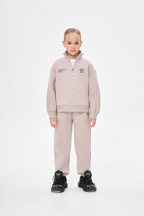 Костюм с начесом на молнии воротник стойка