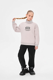 Костюм с начесом воротник стойка