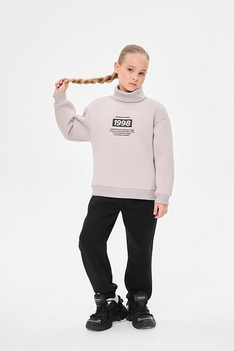 Костюм с начесом воротник стойка