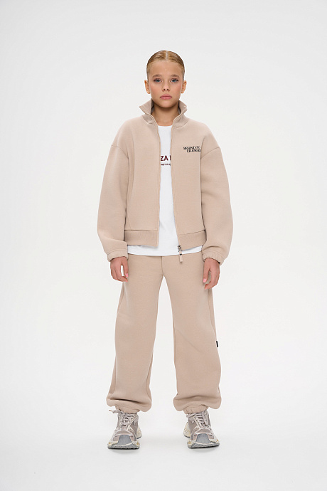 Костюм с начесом на молнии воротник стойка