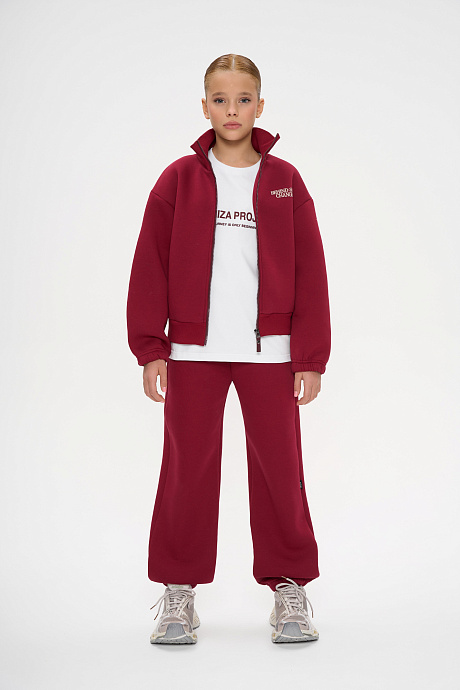 Костюм с начесом на молнии воротник стойка