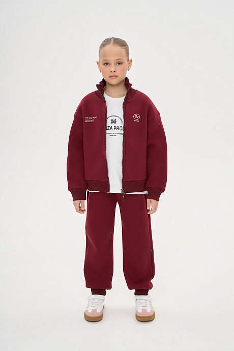 Костюм с начесом на молнии воротник стойка